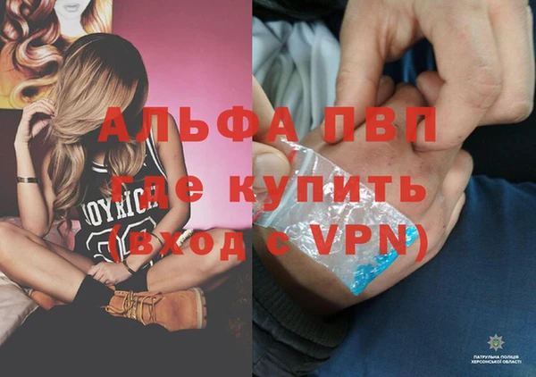 эйфоретик Алзамай