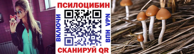 сайты даркнета состав  Шатура  Псилоцибиновые грибы Magic Shrooms  наркотики 