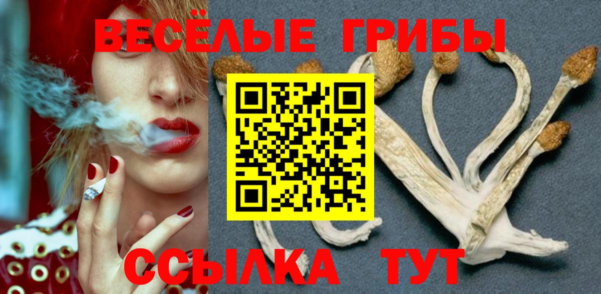 Псилоцибиновые грибы Magic Shrooms  Галлюциногенные грибы мухоморы  где продают наркотики  Вход с VPN  Шатура 